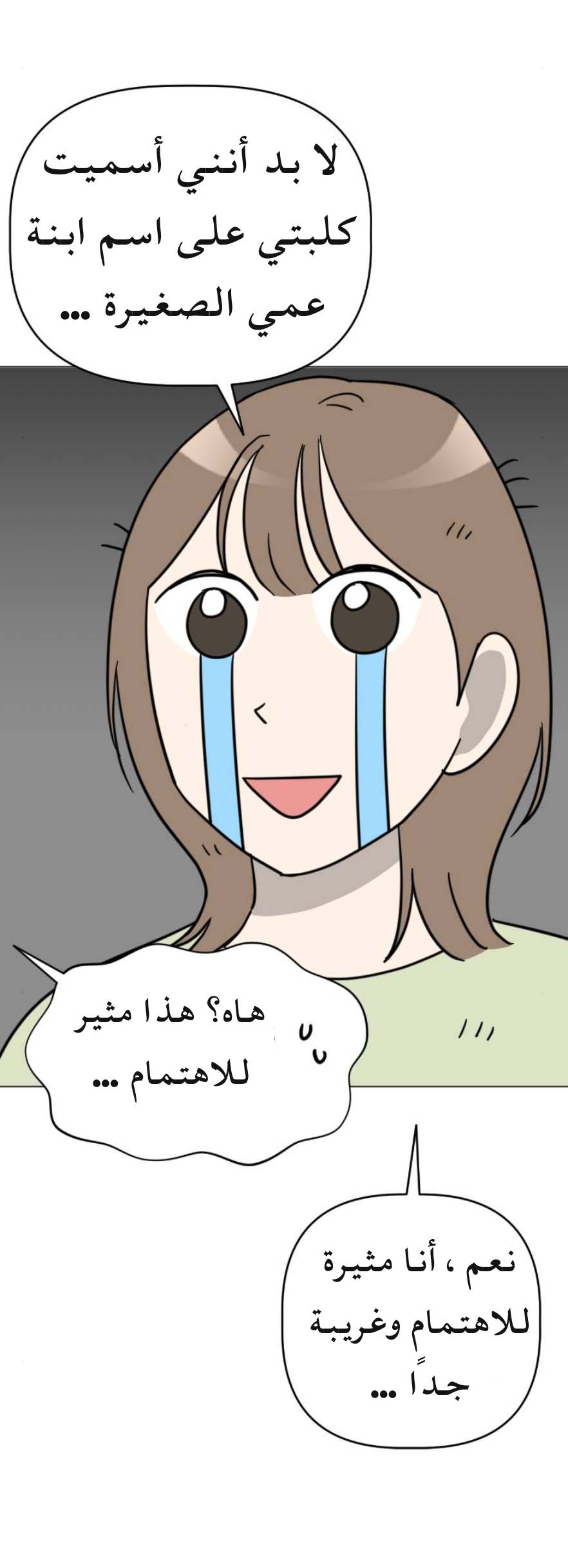 الصفحة 16