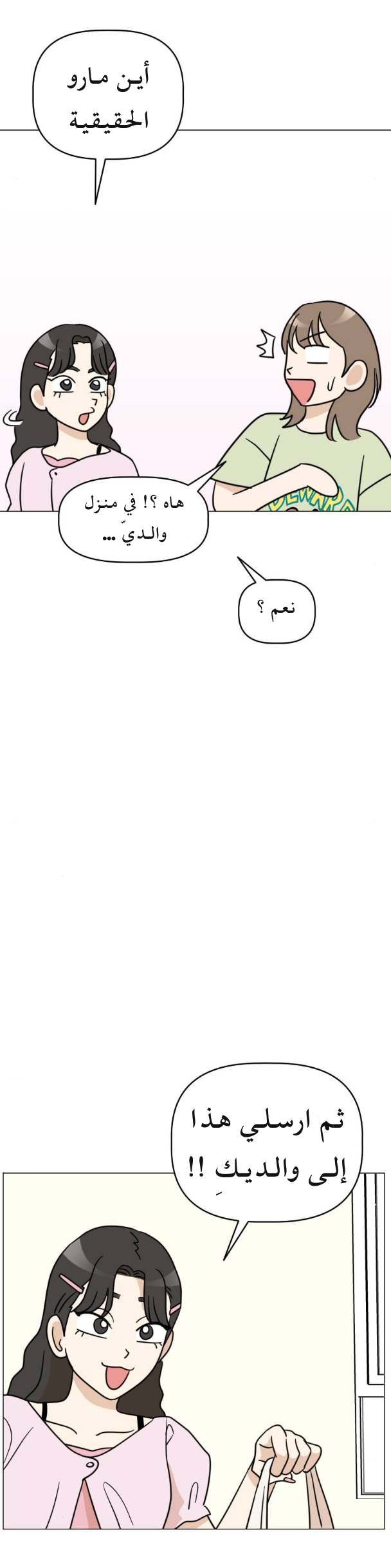 الصفحة 20