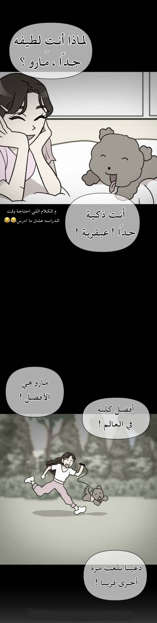 الصفحة 23