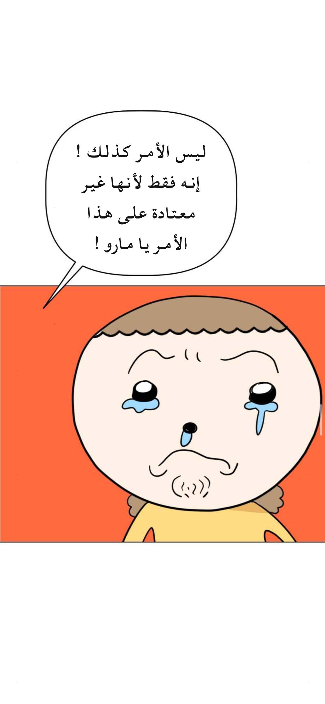الصفحة 27