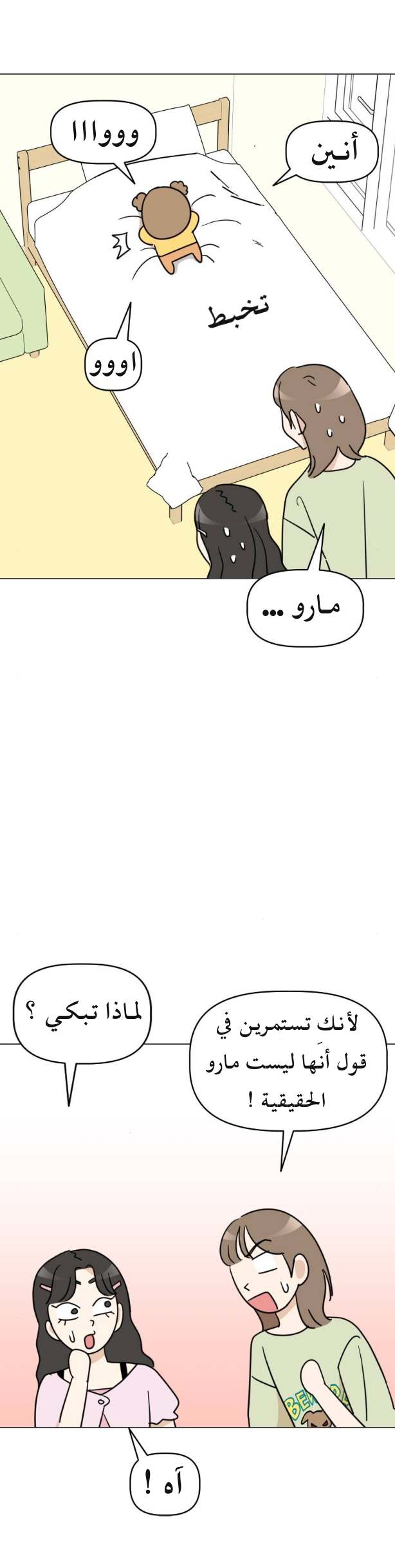 الصفحة 29