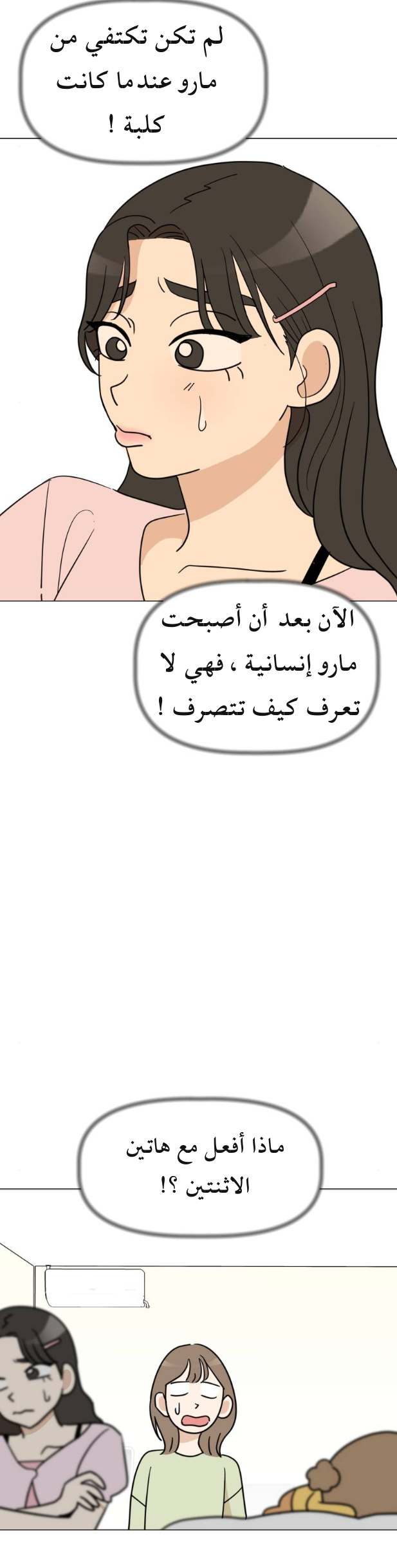 الصفحة 31