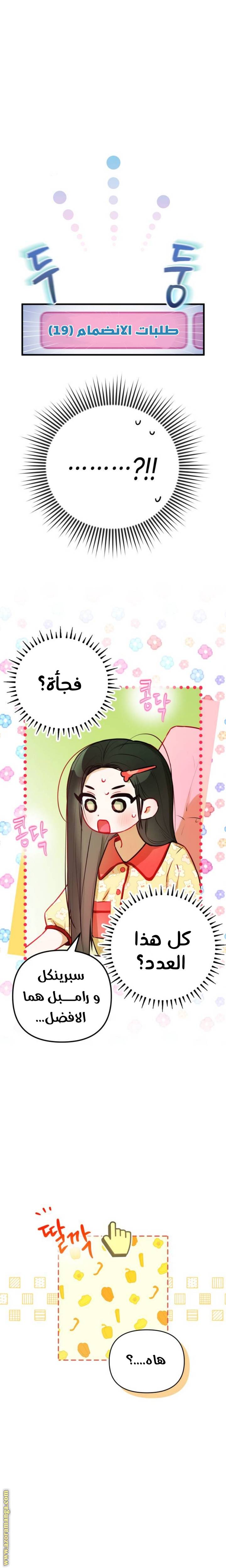 الصفحة 26