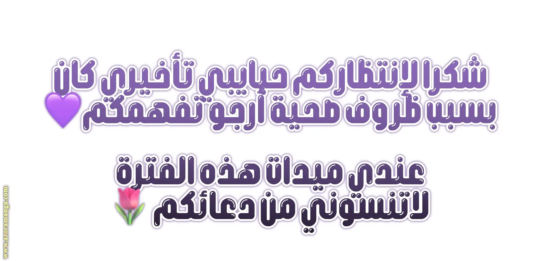 الصفحة 17