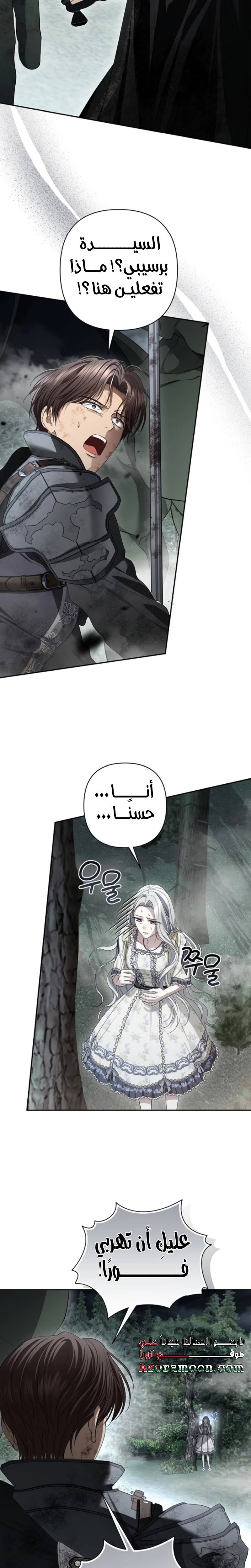 الصفحة 17