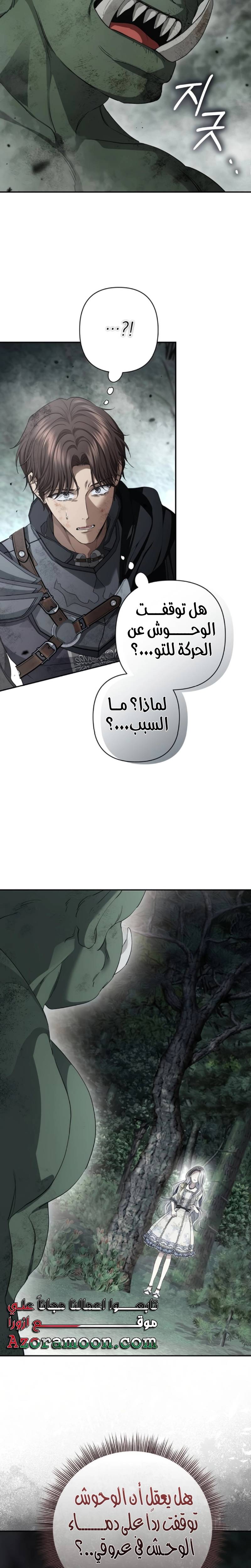 الصفحة 19