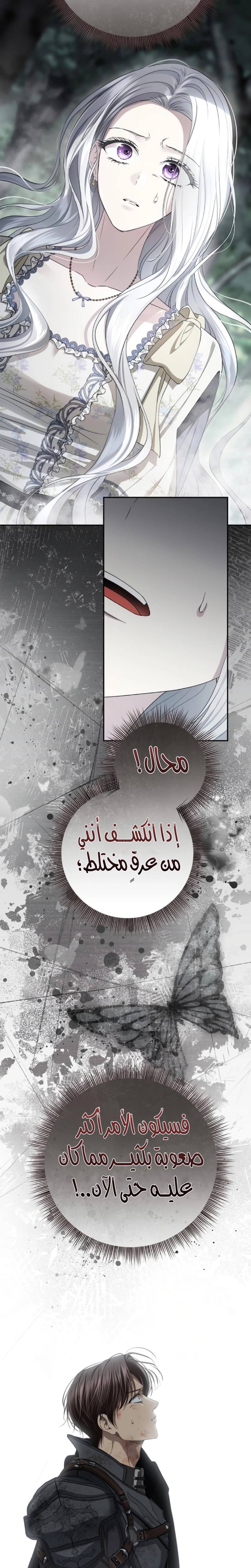 الصفحة 20