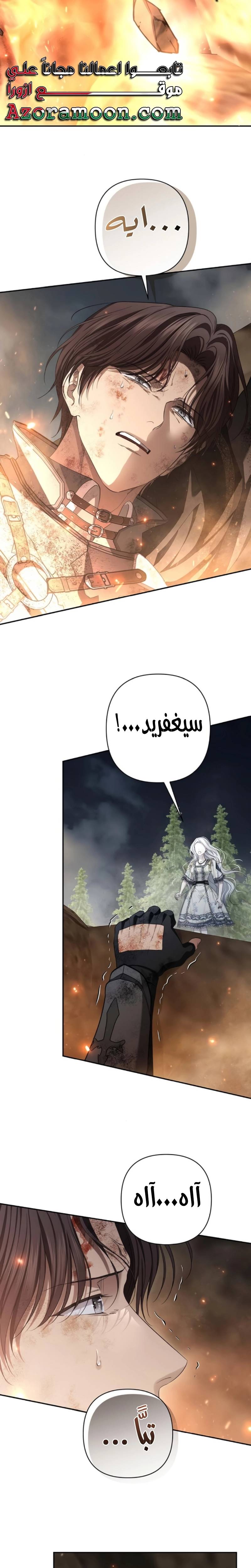 الصفحة 27