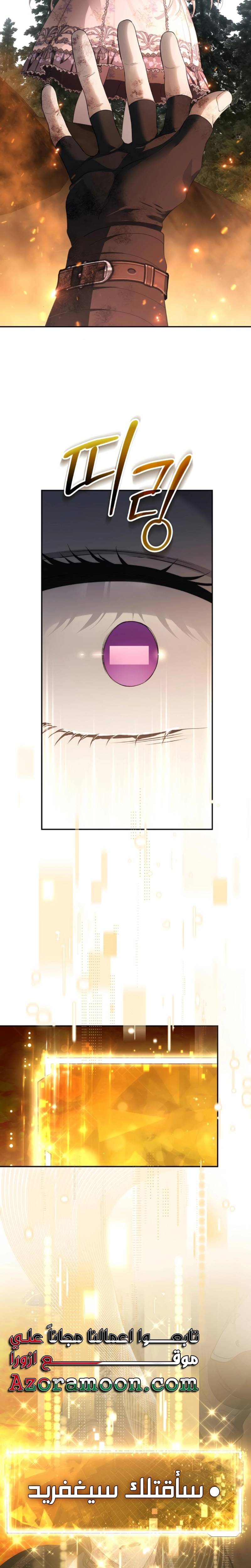 الصفحة 29