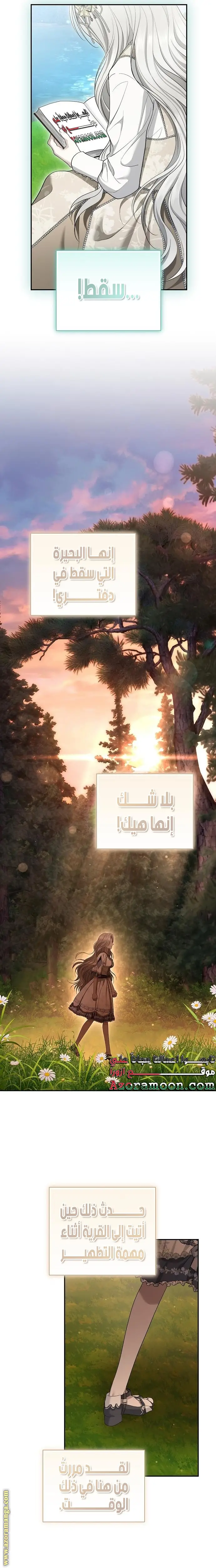 الصفحة 17