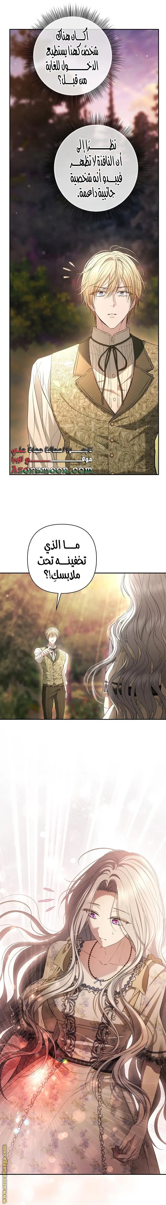 الصفحة 26