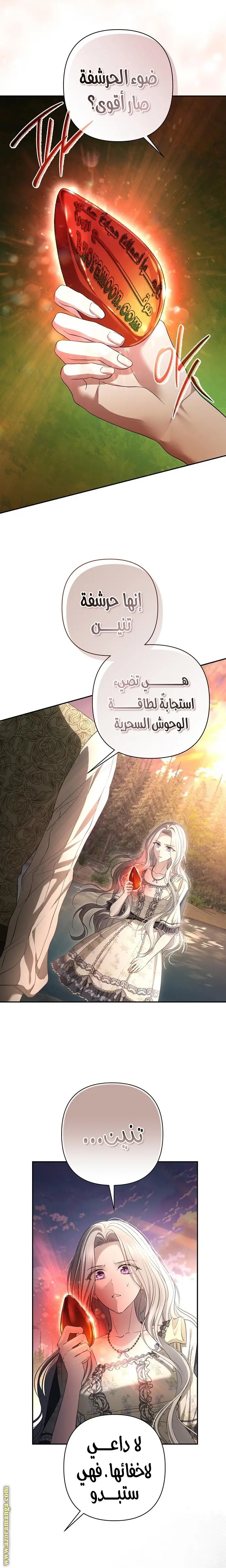 الصفحة 27