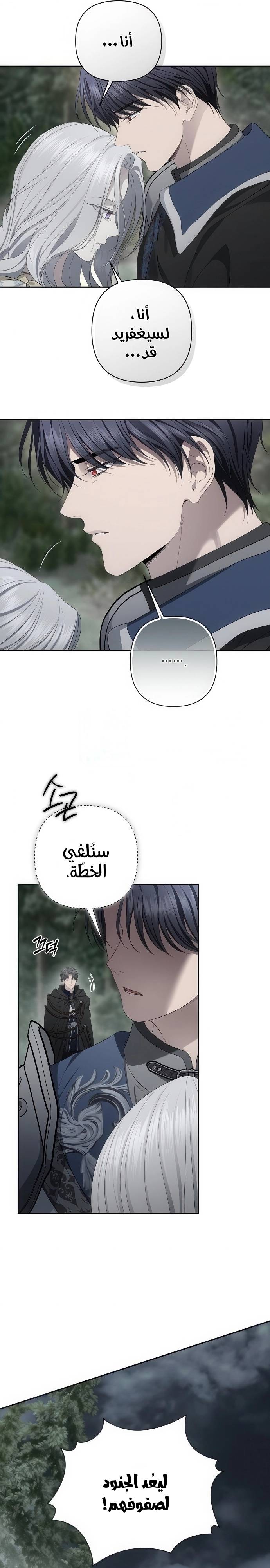 الصفحة 19