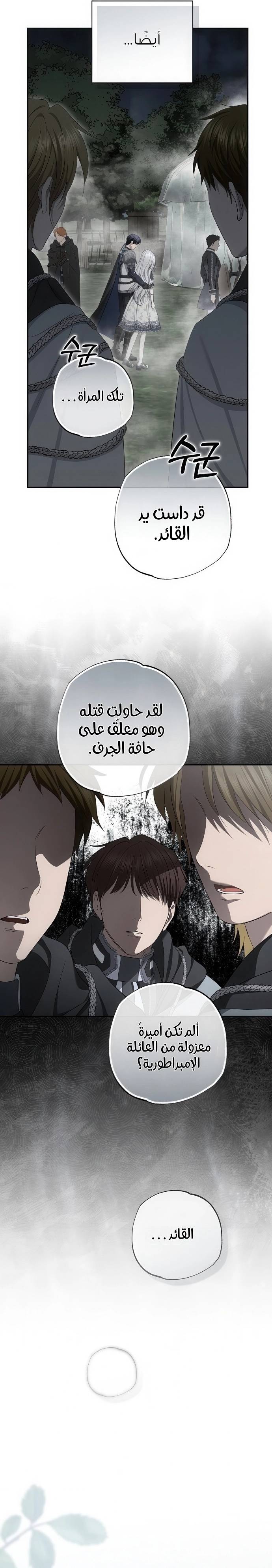 الصفحة 26