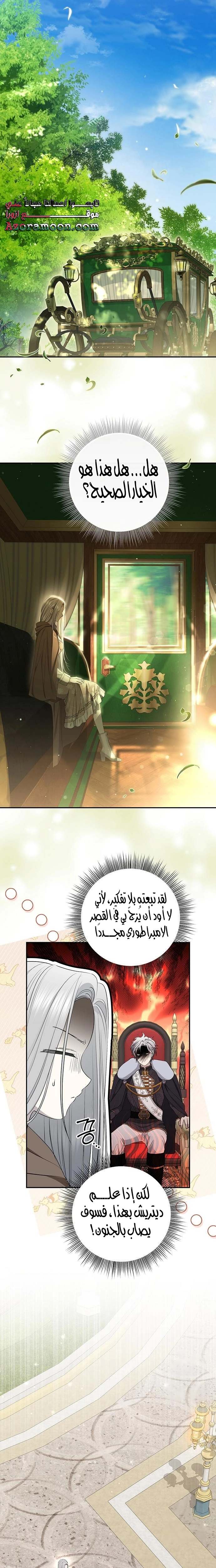 الصفحة 17