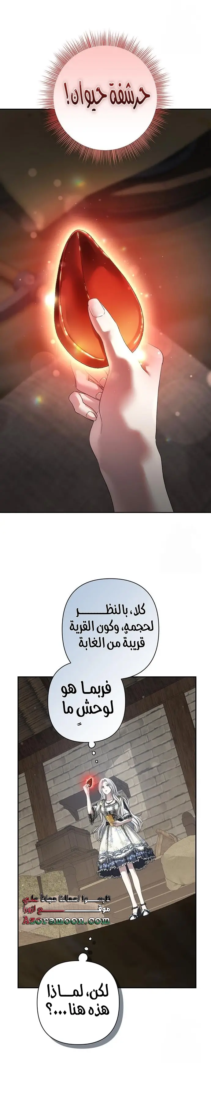 الصفحة 17