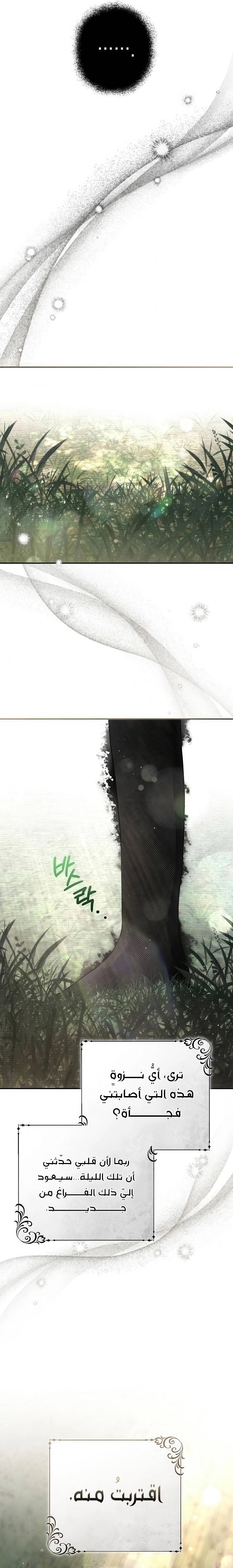 الصفحة 24