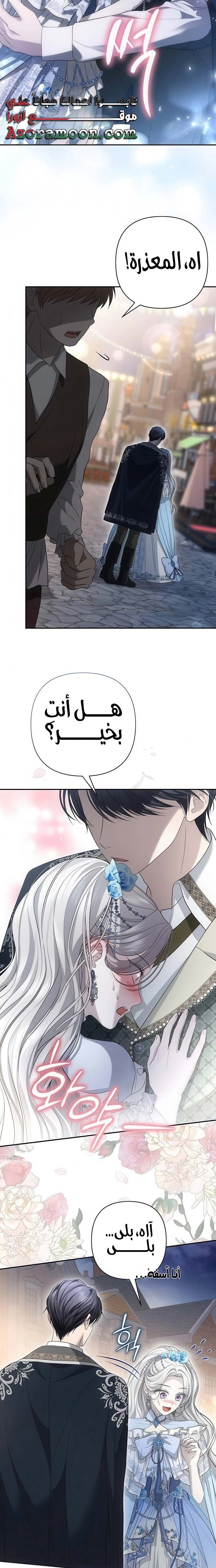 الصفحة 17