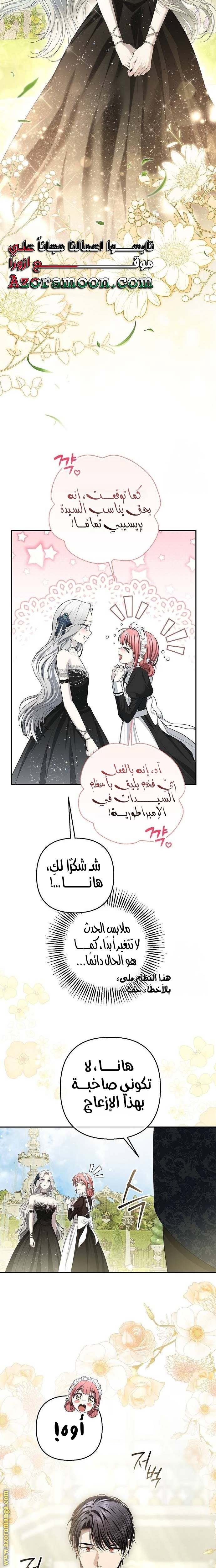 الصفحة 19