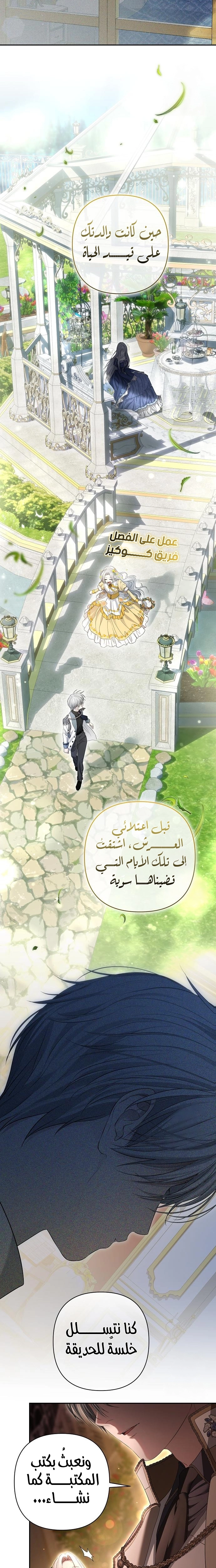 الصفحة 11