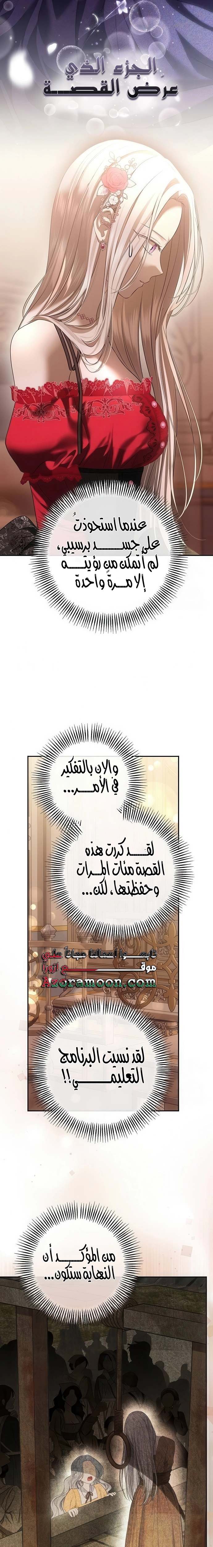 الصفحة 17