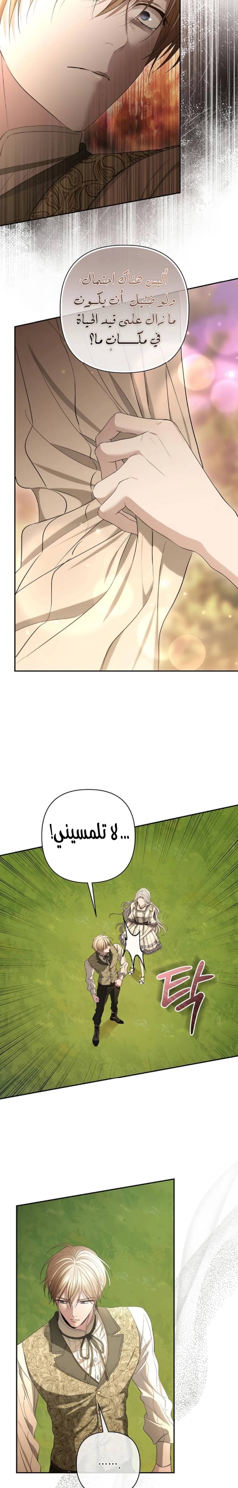 الصفحة 11