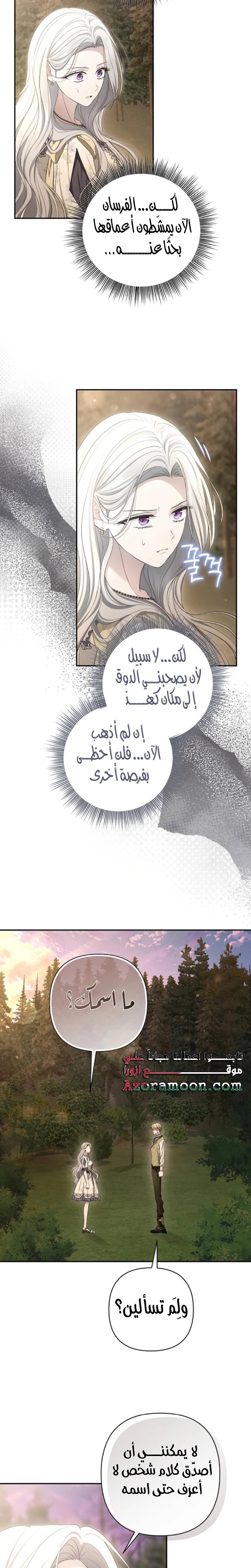 الصفحة 13