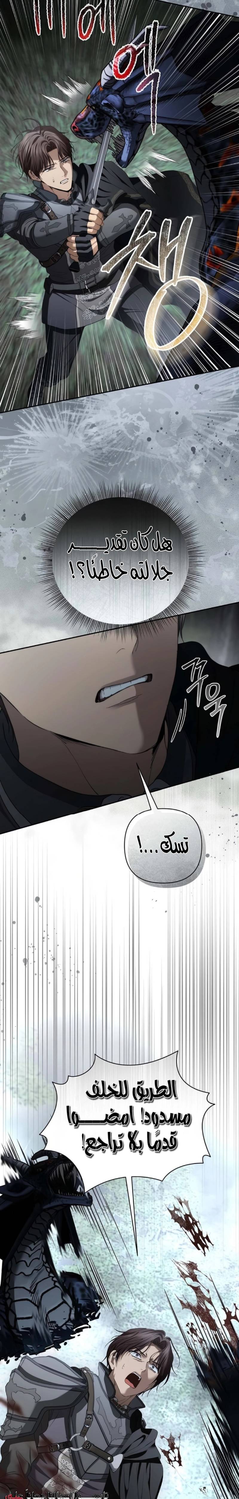 الصفحة 28