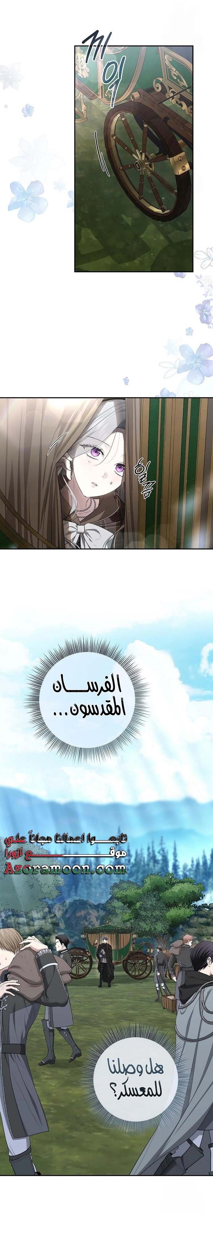 الصفحة 19