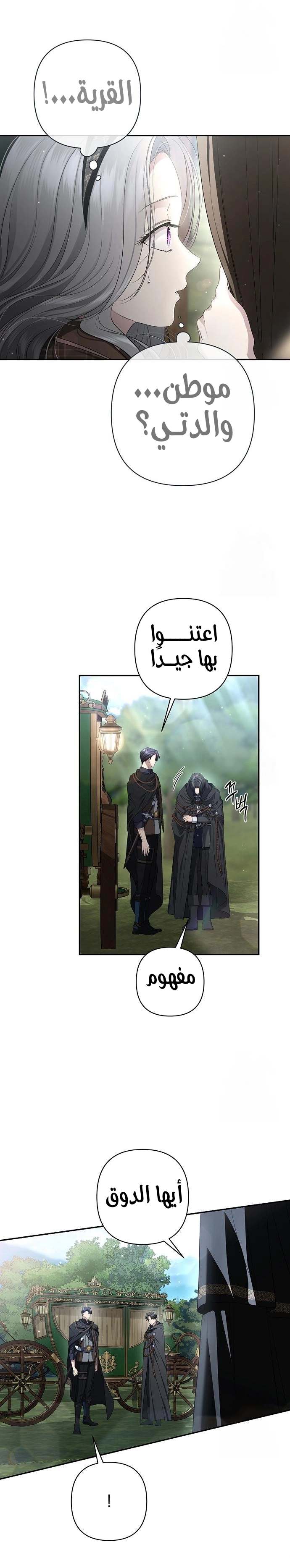 الصفحة 21