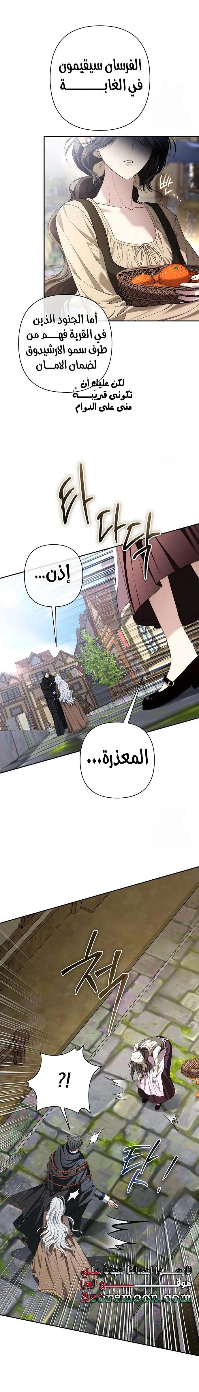 الصفحة 27