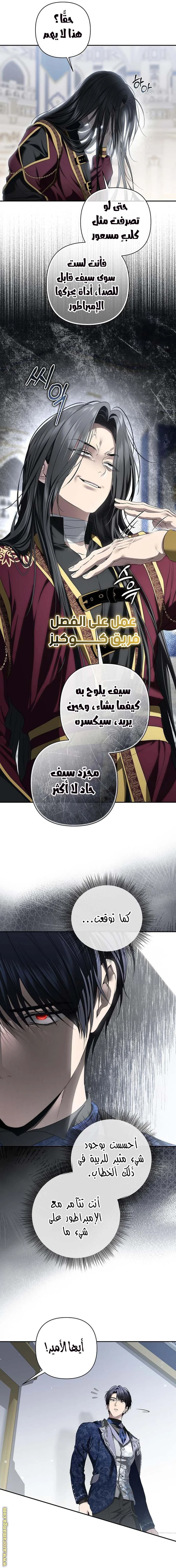 الصفحة 13