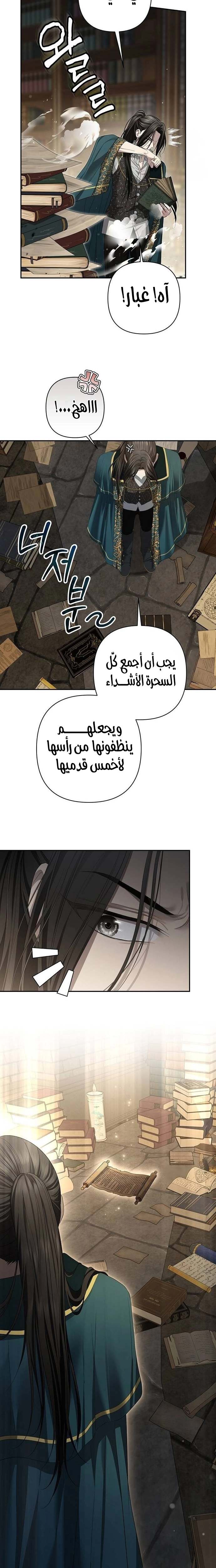 الصفحة 16
