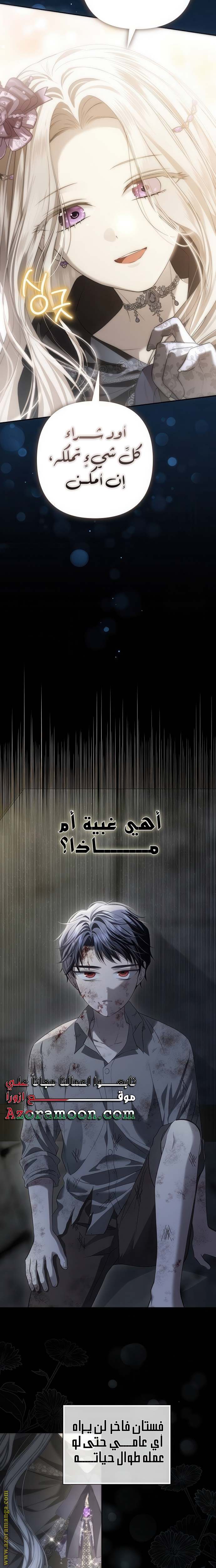 الصفحة 17