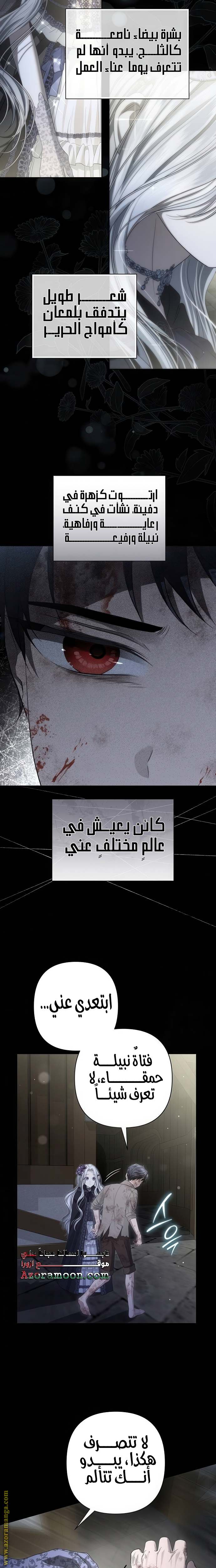 الصفحة 18