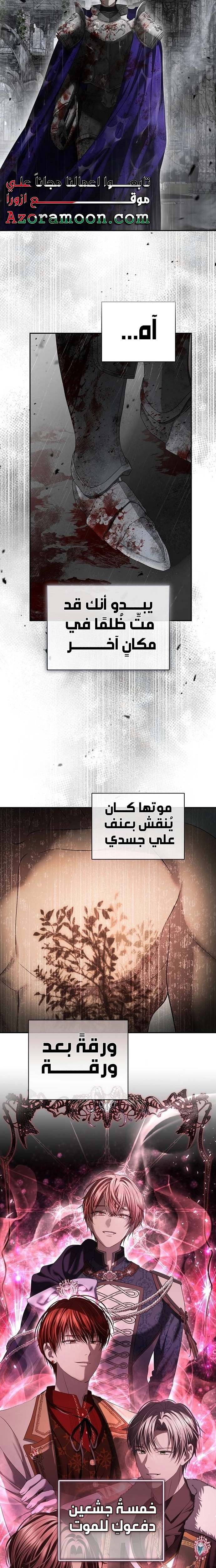 الصفحة 17