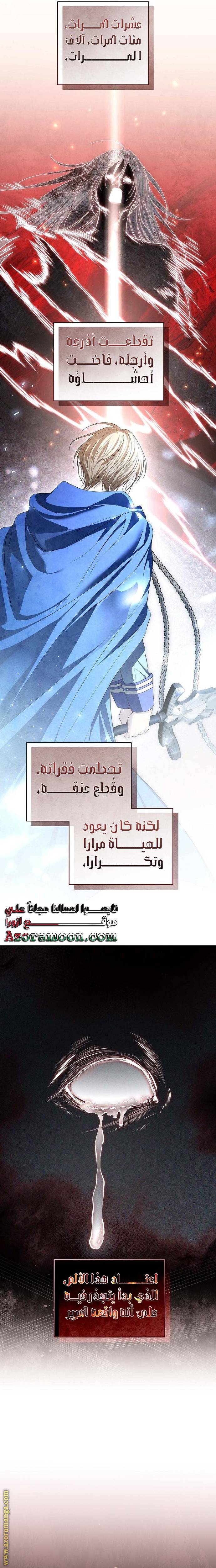 الصفحة 25