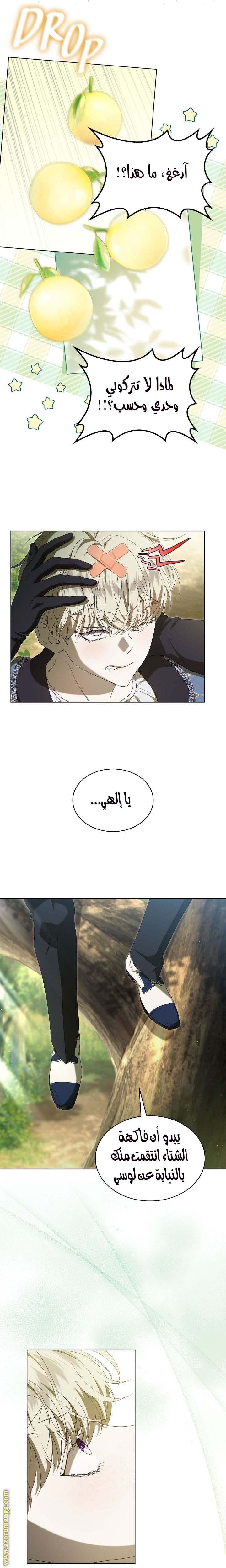 الصفحة 23