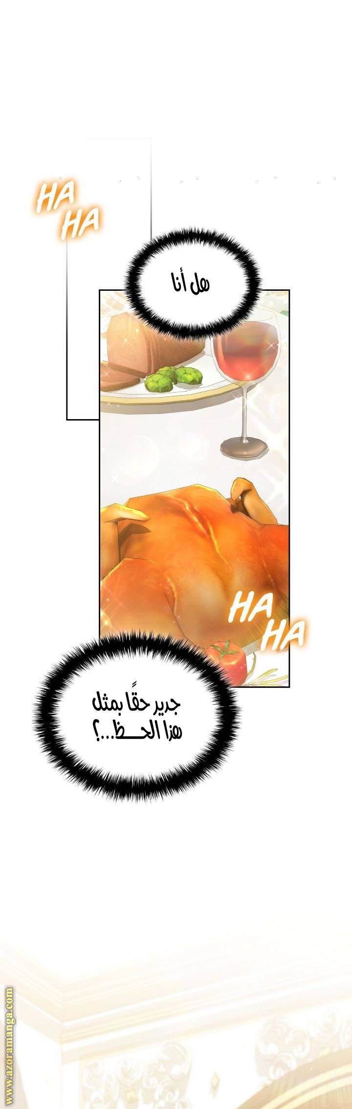 الصفحة 17