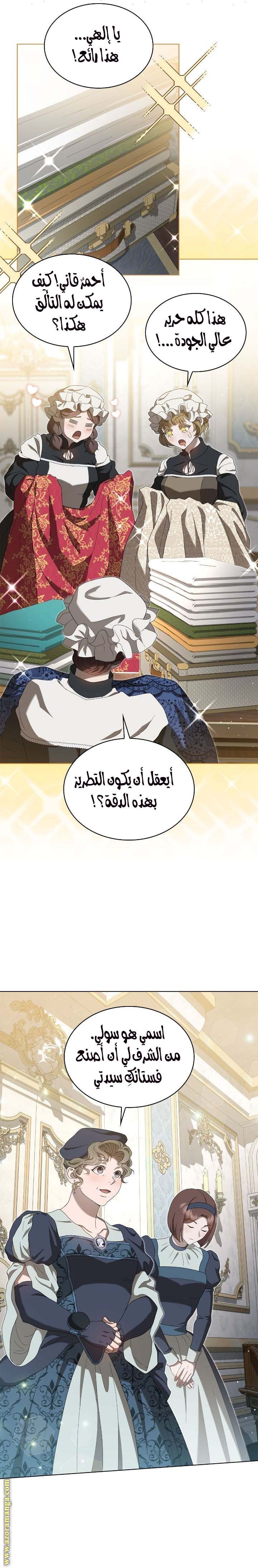 الصفحة 17