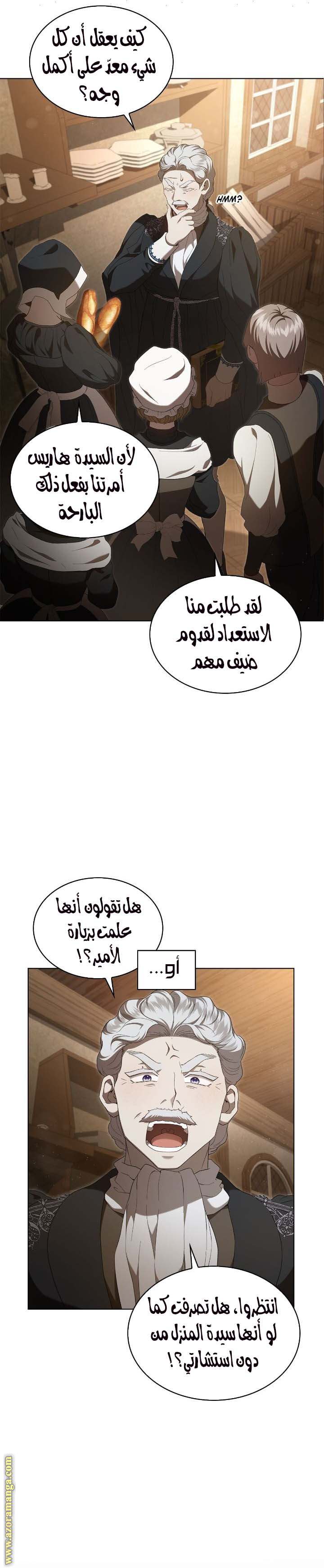 الصفحة 13