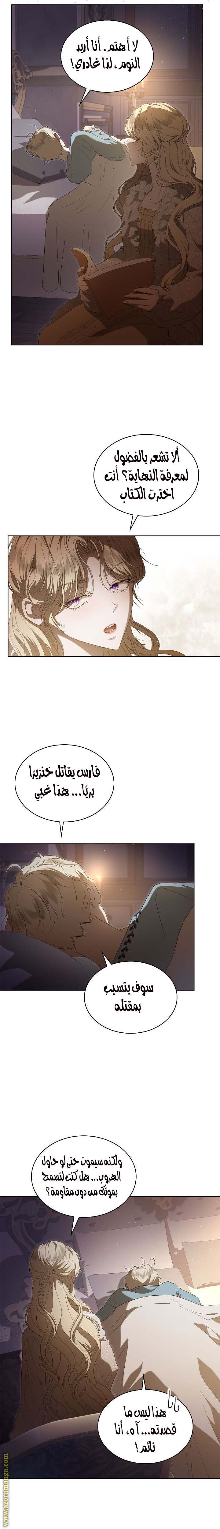 الصفحة 17