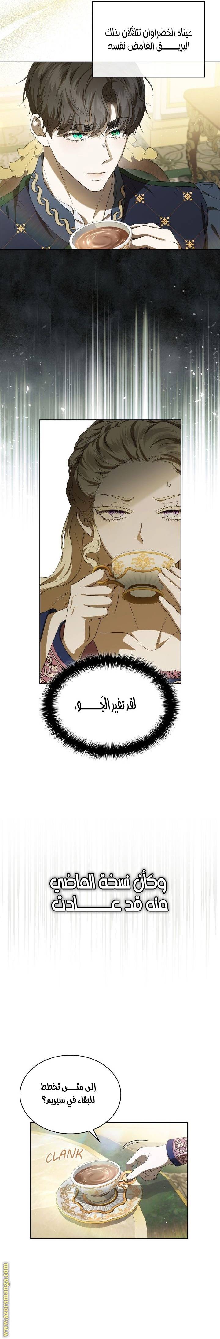الصفحة 13