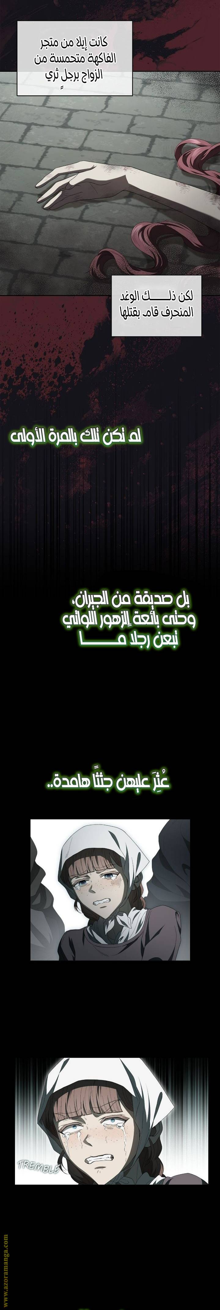 الصفحة 22