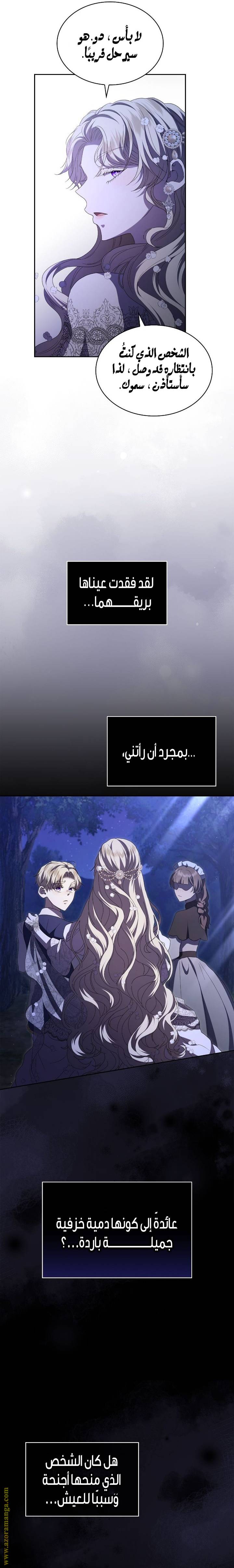 الصفحة 13