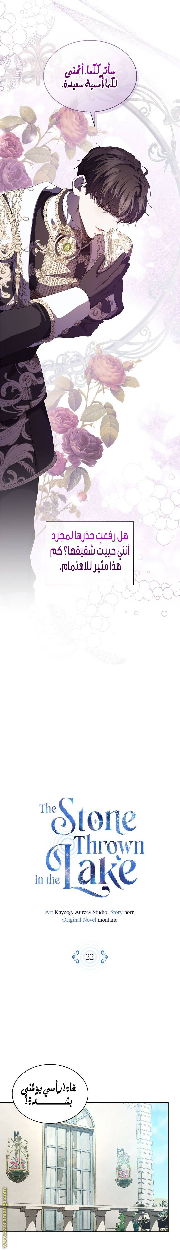 الصفحة 17