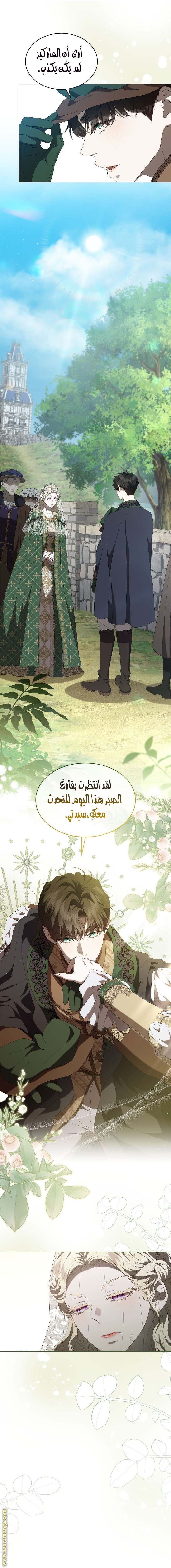 الصفحة 17