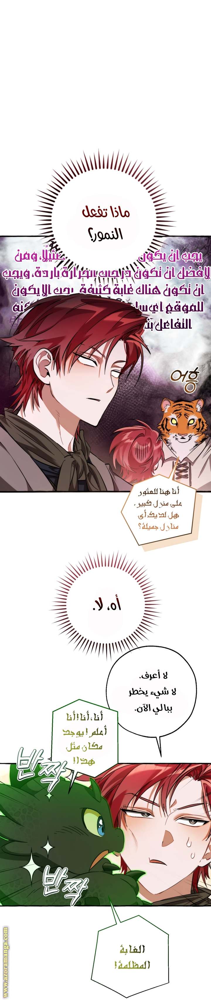 الصفحة 25