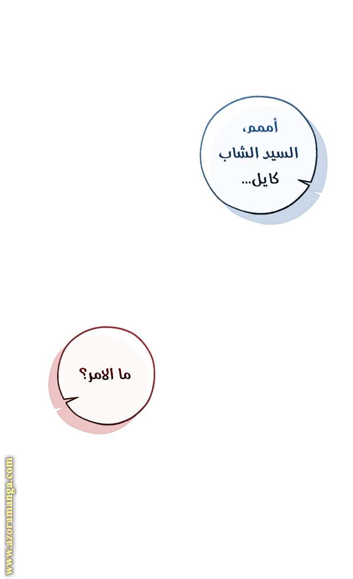 الصفحة 39