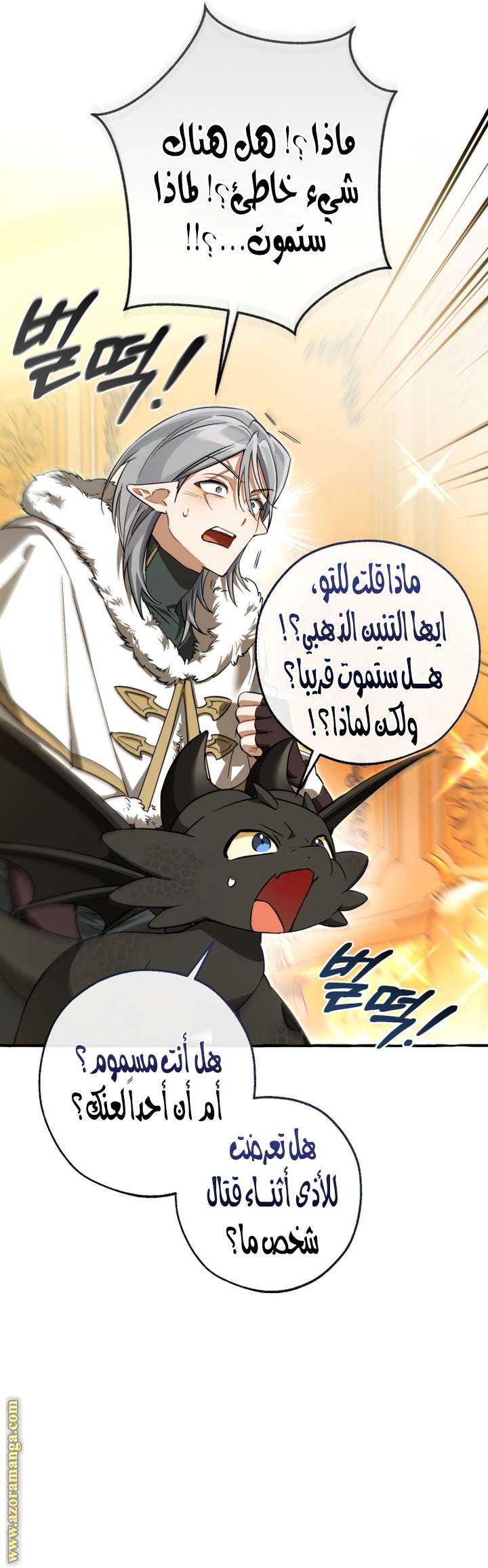 الصفحة 3